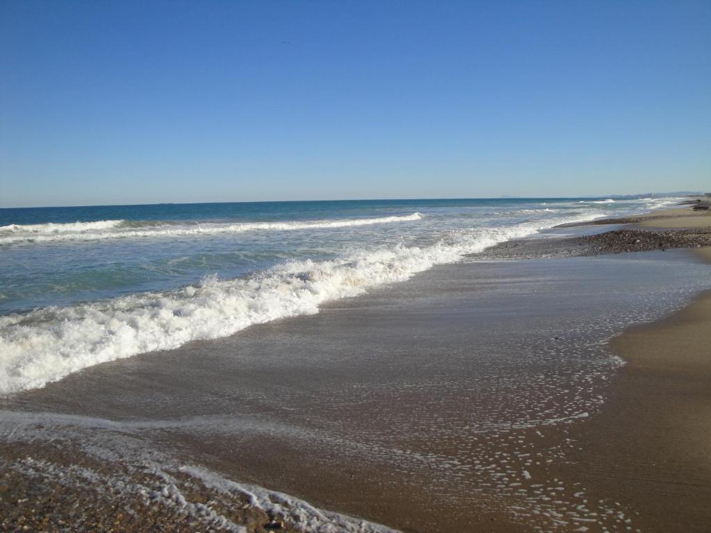 Camping Coll Vert Alfafar